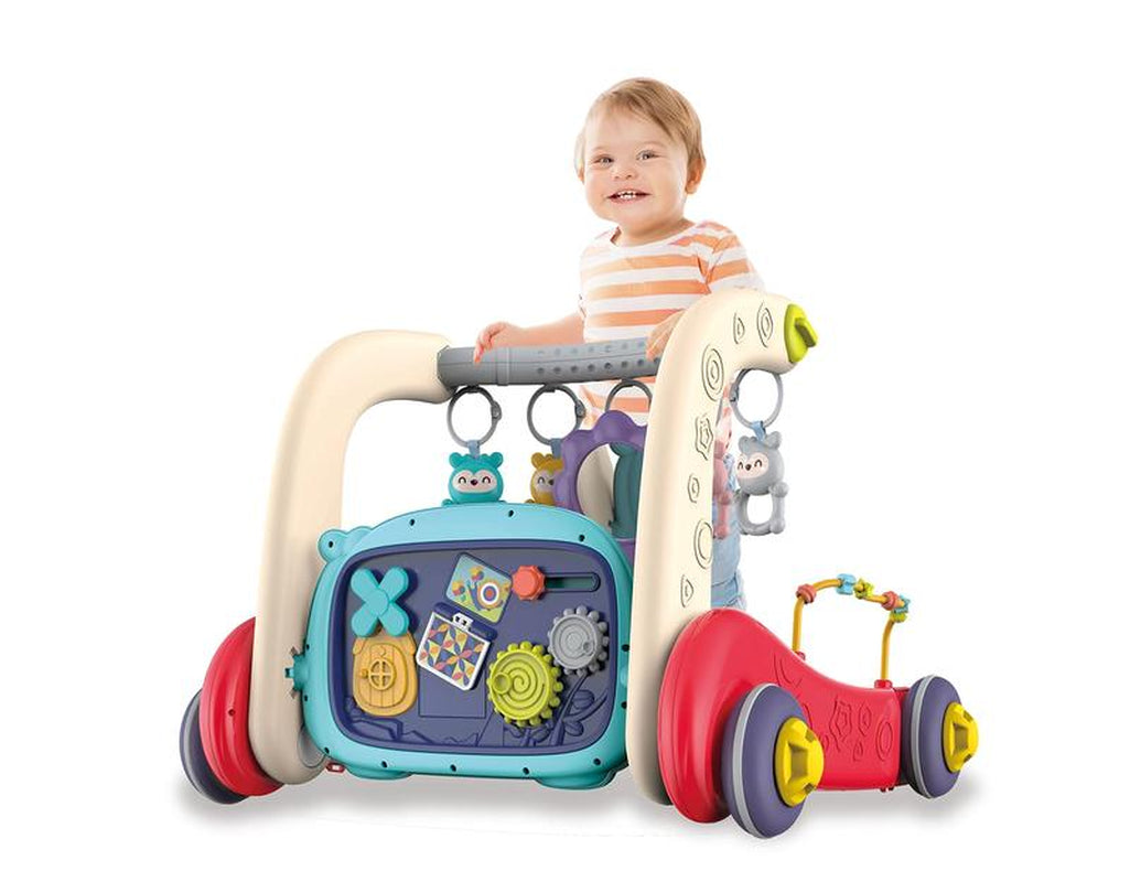Baby Play Mat Baby Gym,Play Piano Tummy Time, Floor Activity Center,Baby Seat,Infant Baby Walker - Toddler Push Walker, Boy & Girl Gifts for Newborn Baby Toddler Sensory Cute